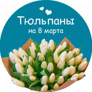 Купить тюльпаны в Пошехонье